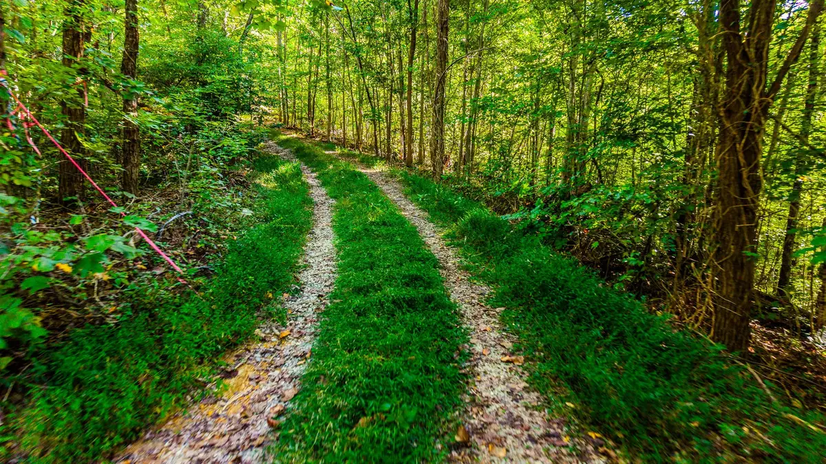 429 King Branch Rd, Sevierville, TN 37876 - #1