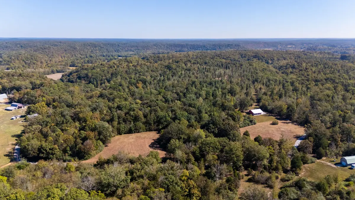 1036 Mason Bates Bend Rd, Centerville, TN 37033 - #1