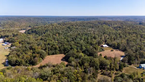1036 Mason Bates Bend Rd, Centerville, TN 37033