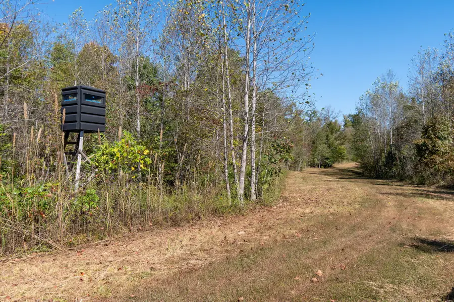 1036 Mason Bates Bend Rd, Centerville, TN 37033 - #2