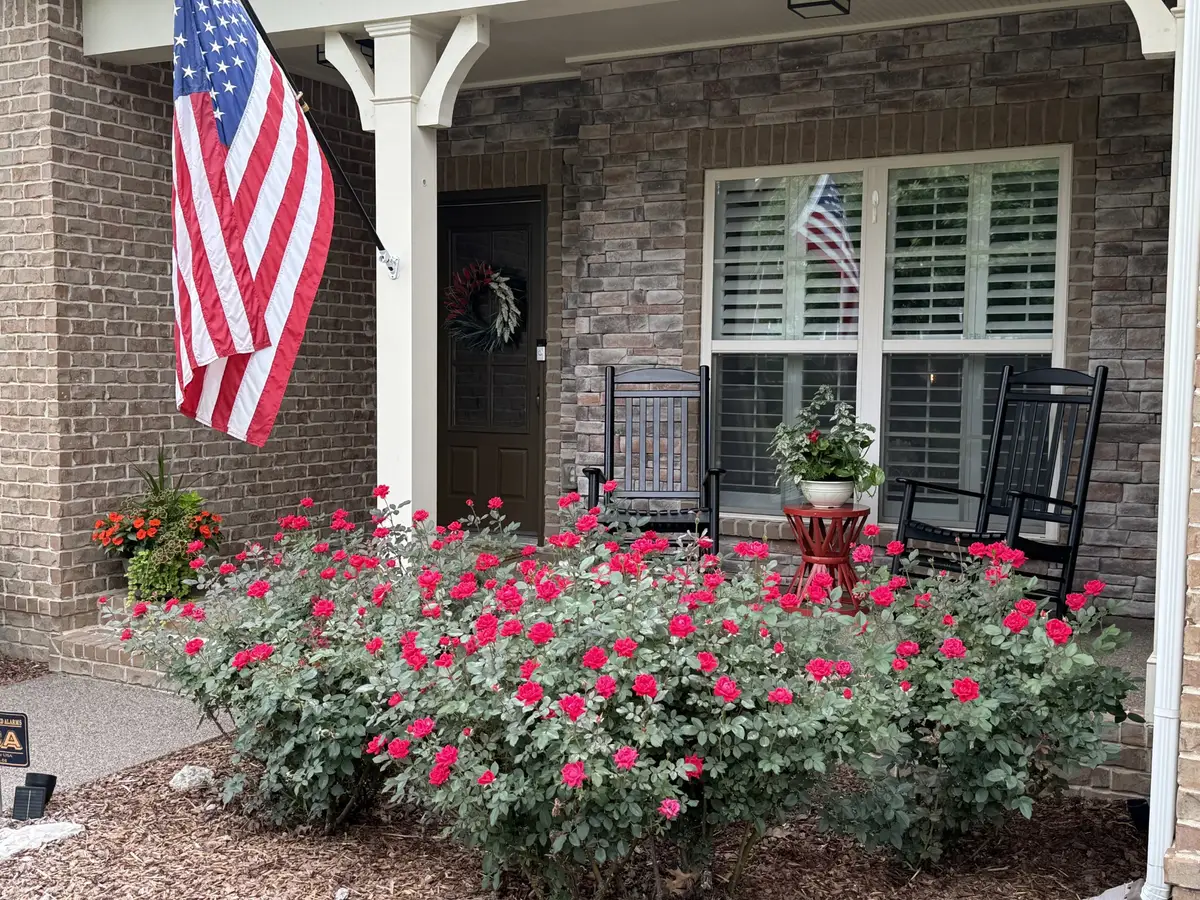 9160 Macauley Ln, Nolensville, TN 37135 - #1