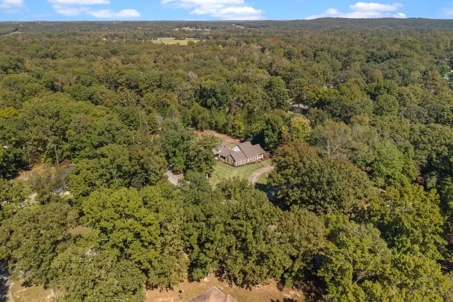 1132 Deerwood Dr, New Johnsonville, TN 37134 - #3