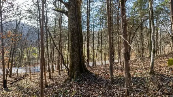 0 Whites Creek Pike, Whites Creek, TN 37189 - #3