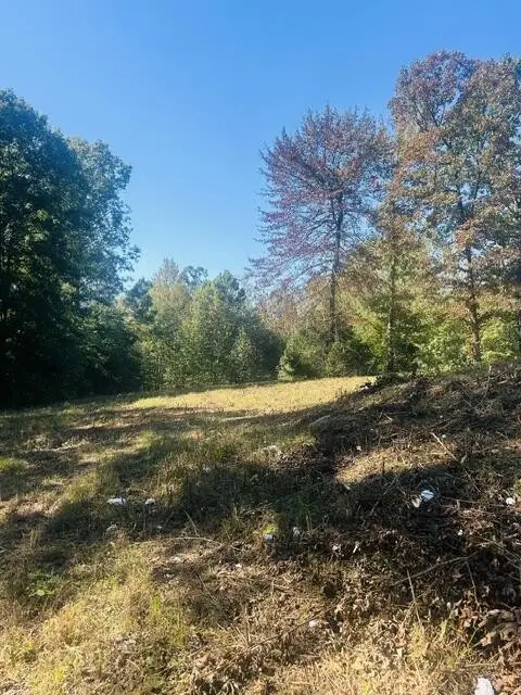 3638 Hwy 192, Holladay, TN 38341 - #2