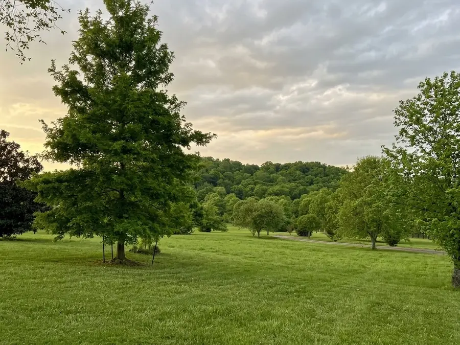 3215 Kinnard Springs Rd, Franklin, TN 37064 - #3