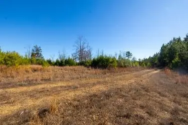 0 White Oak Rd, Stewart, TN 37175