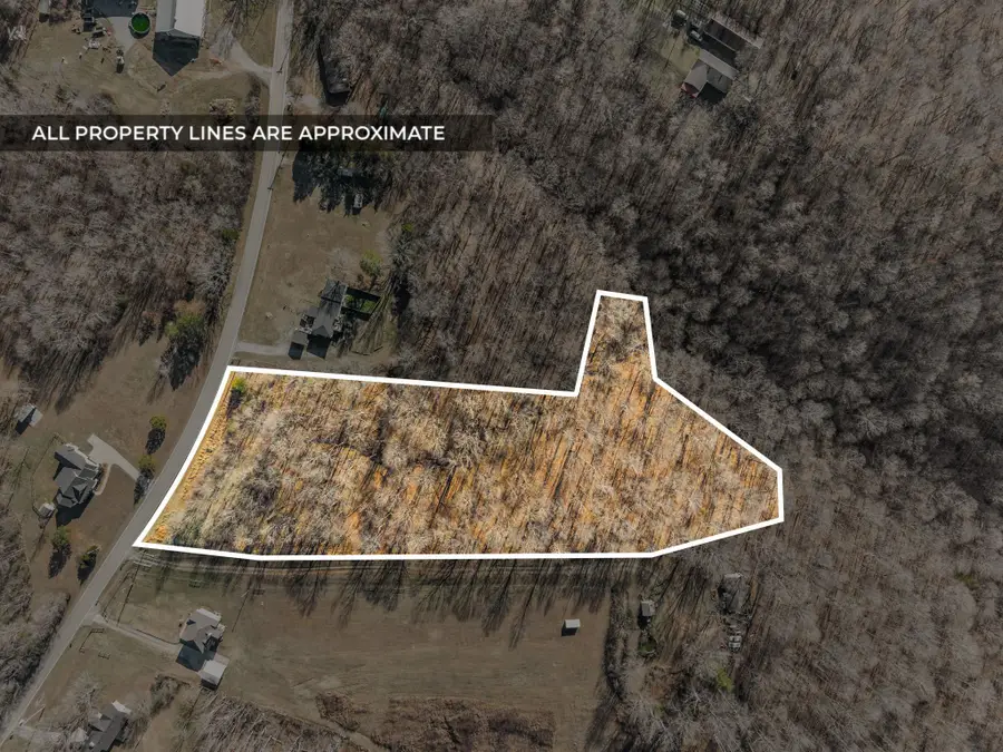 3650 Lake Road, Woodlawn, TN 37191 - #2