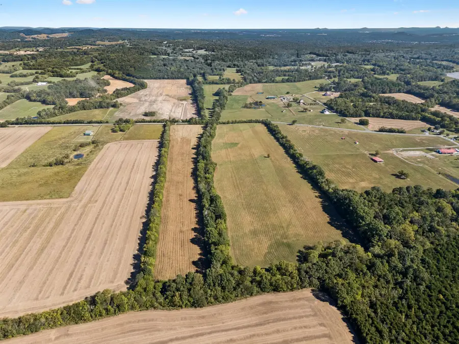 0 Patterson Rd, College Grove, TN 37046 - #3
