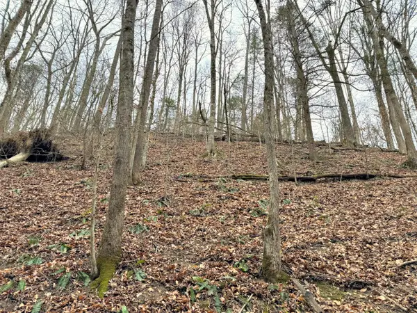 520 Johnny Carrier Hollow Rd, Bluff City, TN 37618
