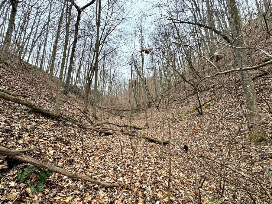 520 Johnny Carrier Hollow Rd, Bluff City, TN 37618 - #2