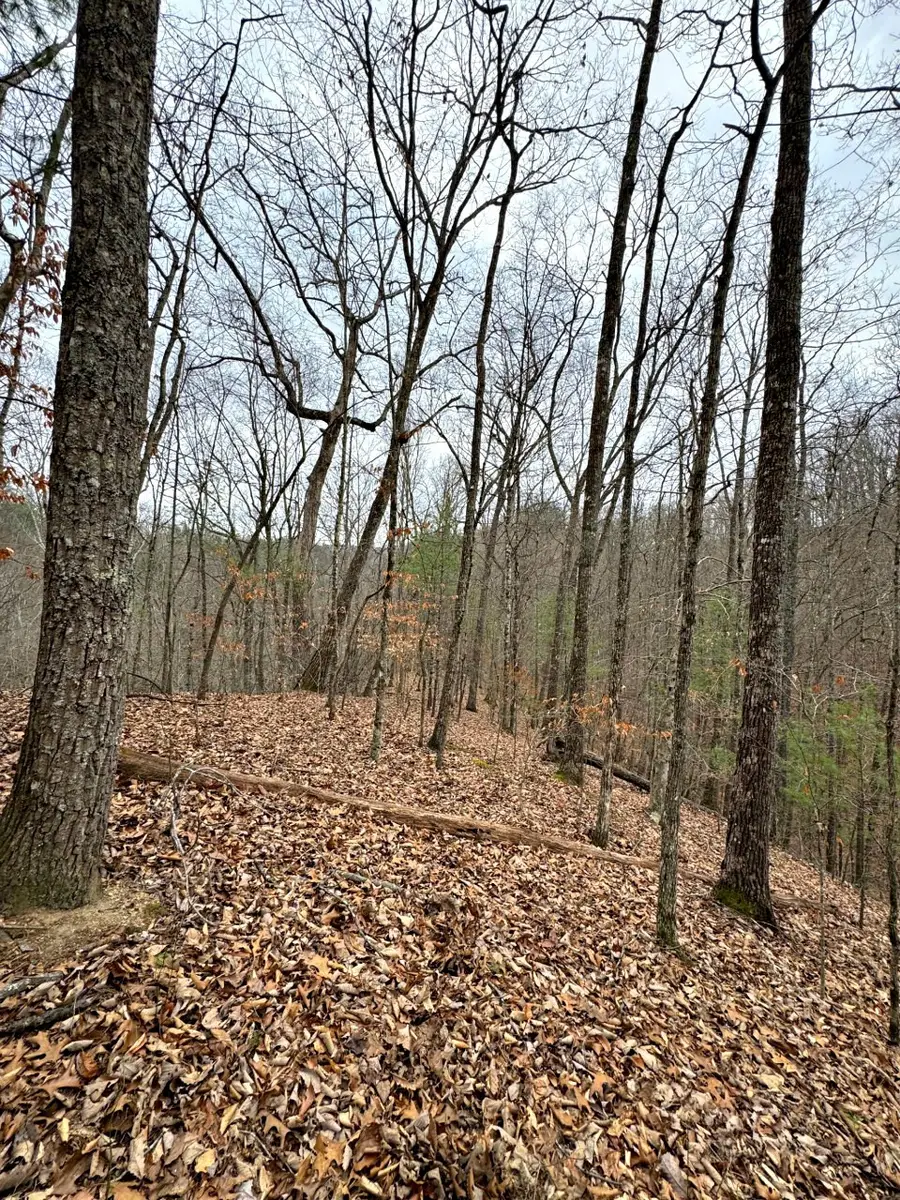 520 Johnny Carrier Hollow Rd, Bluff City, TN 37618 - #3