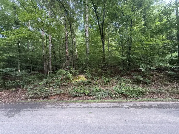 0 Caney Branch Rd, Stewart, TN 37175