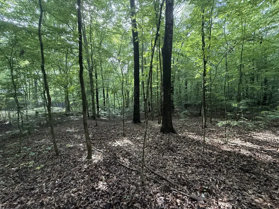 0 Caney Creek Rd, Stewart, TN 37175 - #2