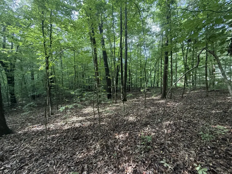 0 Caney Creek Rd, Stewart, TN 37175 - #3