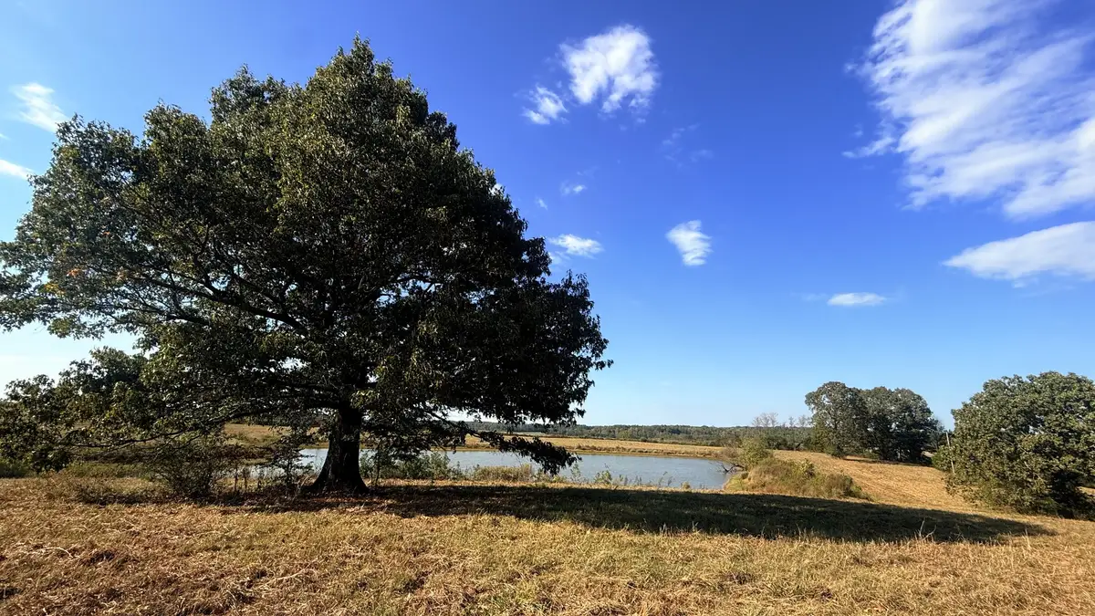0 Essary Rd, Wildersville, TN 38388 - #1