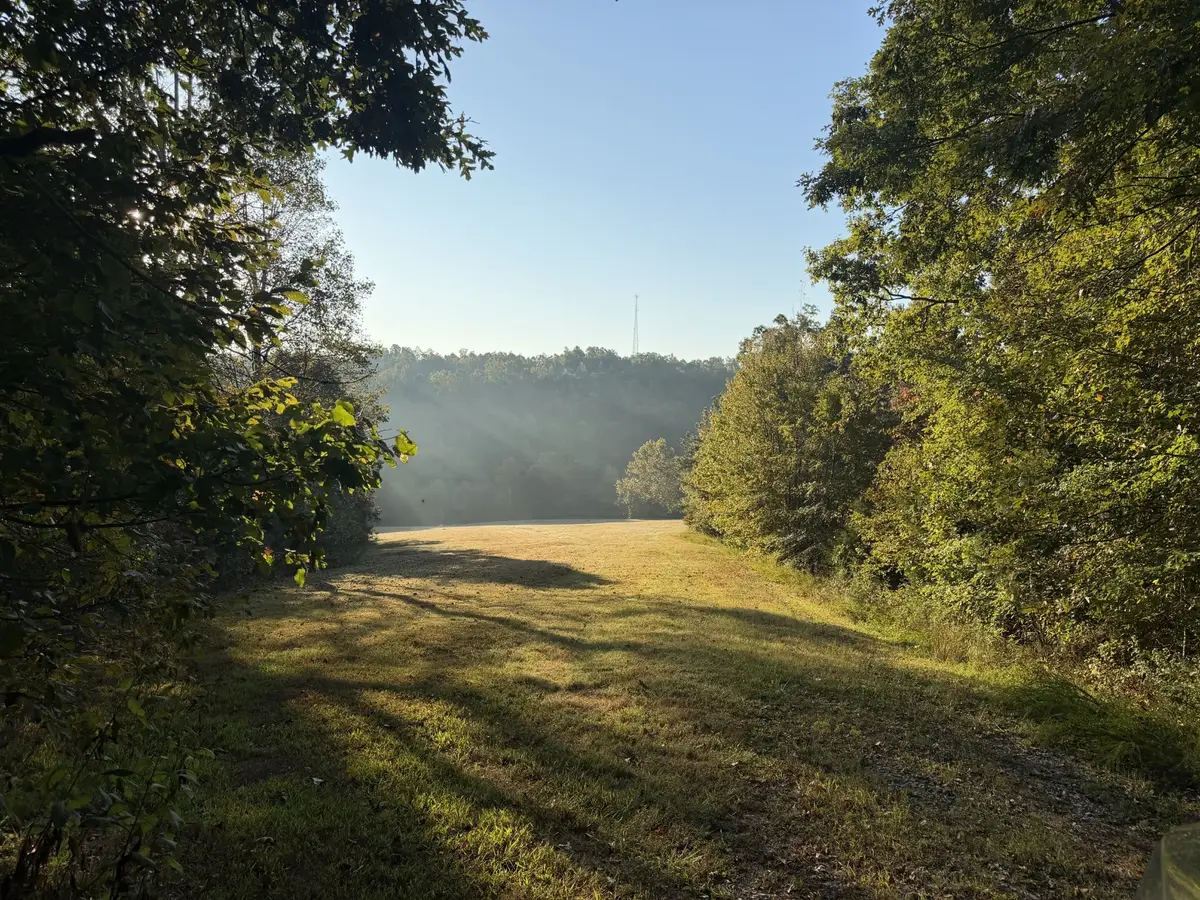 1 Caney Fork Rd, Fairview, TN 37062 - #1