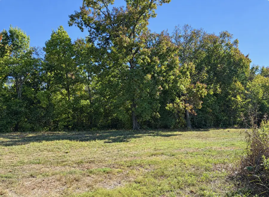 1132 Waller Rd, Brentwood, TN 37027 - #2
