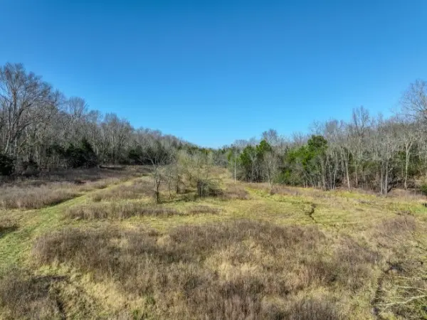 0 Lasea Rd, Spring Hill, TN 37174 - #2