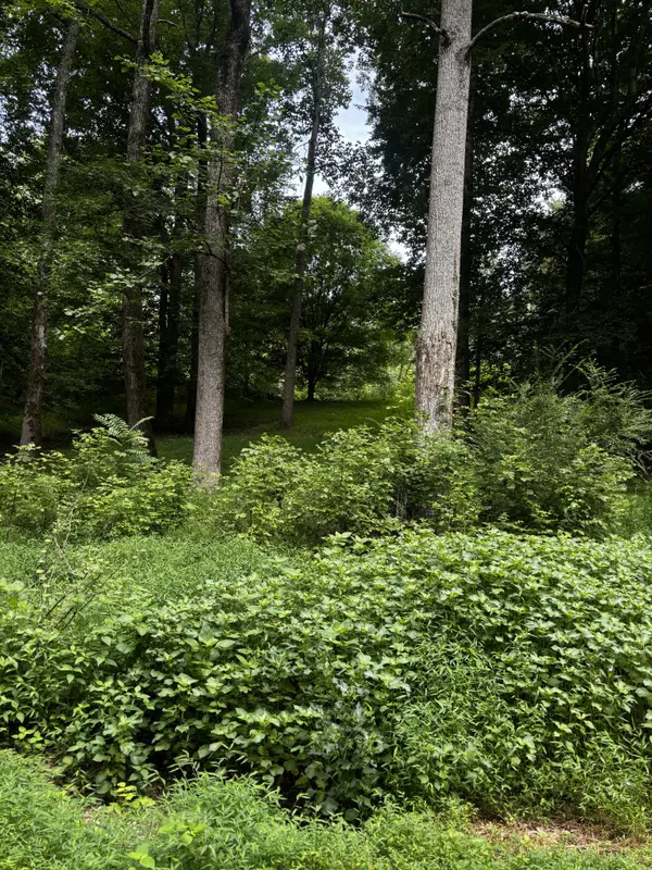420 Shepherd Hollow Rd, Indian Mound, TN 37079