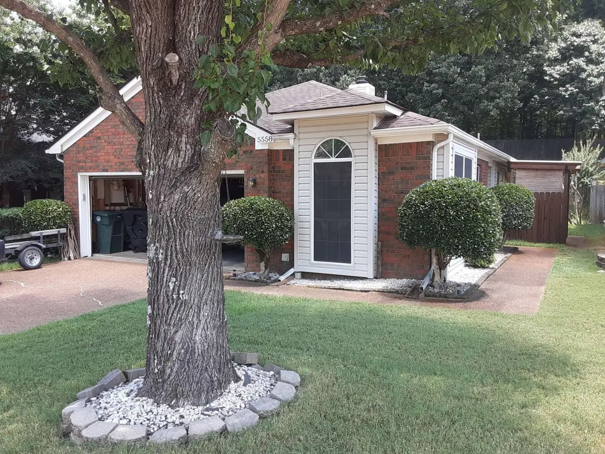 5558 Pine Oak Ln, Memphis, TN 38135 - #1