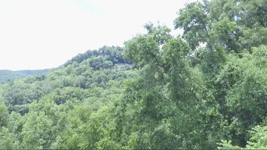 0 Blackberry Ridge Way, Smithville, TN 37166 - #3