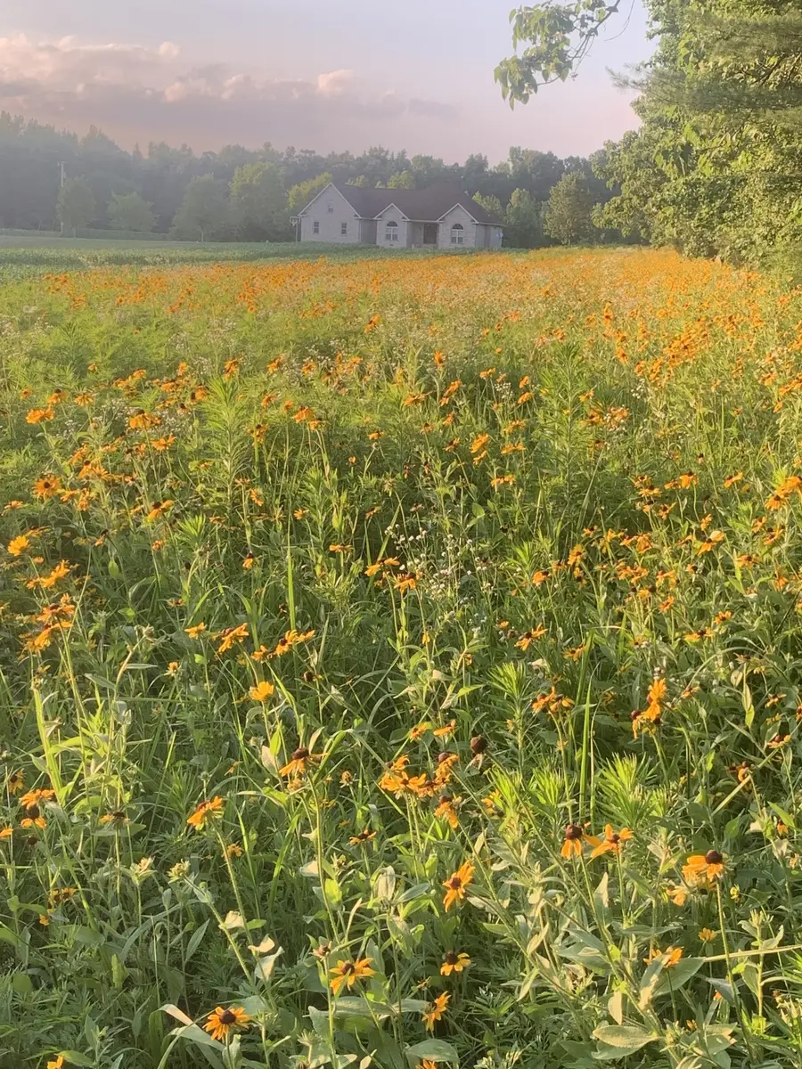 168 Days End Ln, Manchester, TN 37355 - #2