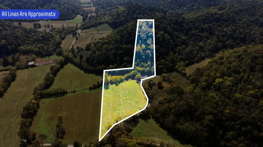 239 Rose Ln, Dixon Springs, TN 37057 - #3
