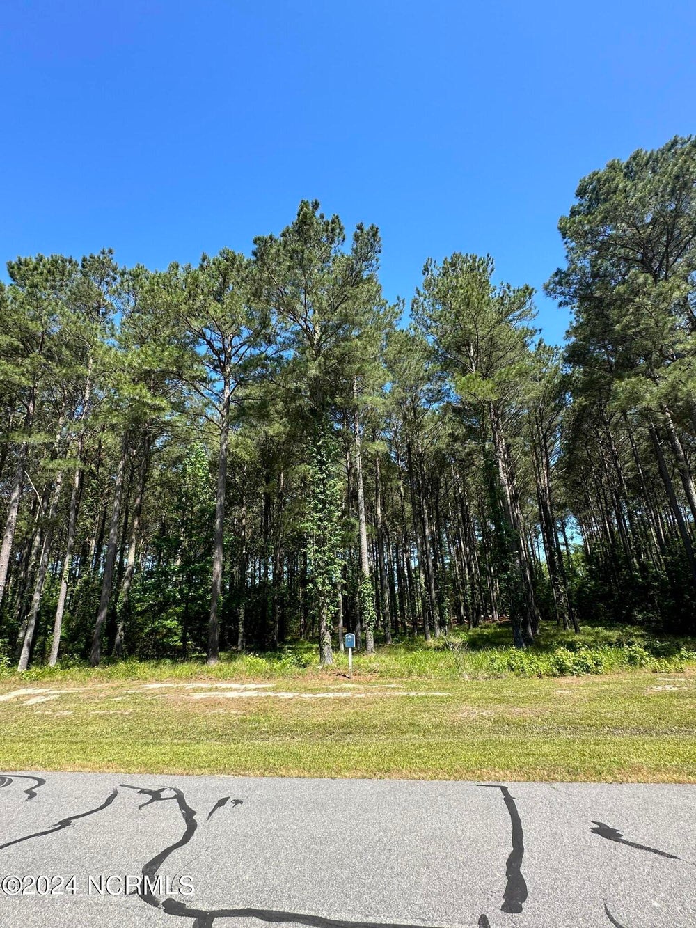 445 Riversound Drive, Edenton, NC 27932 BHGRE