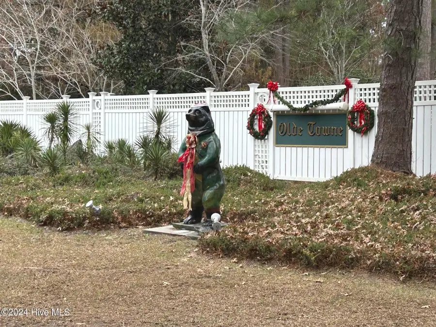 2409 Turtle Bay Drive, New Bern, NC 28562 - Image #3