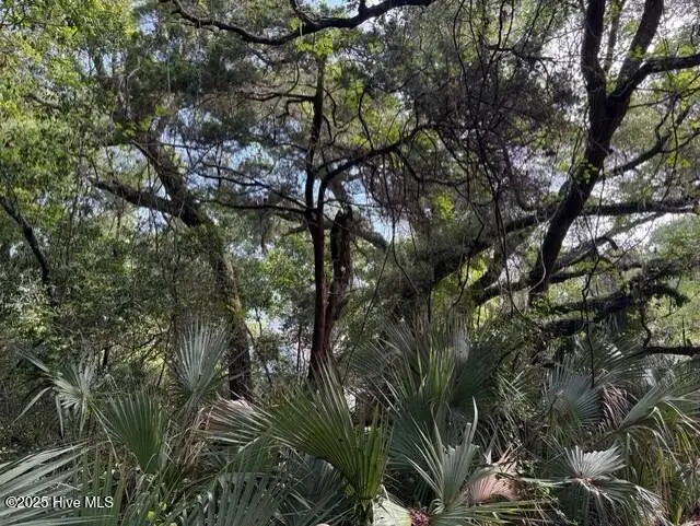 #3