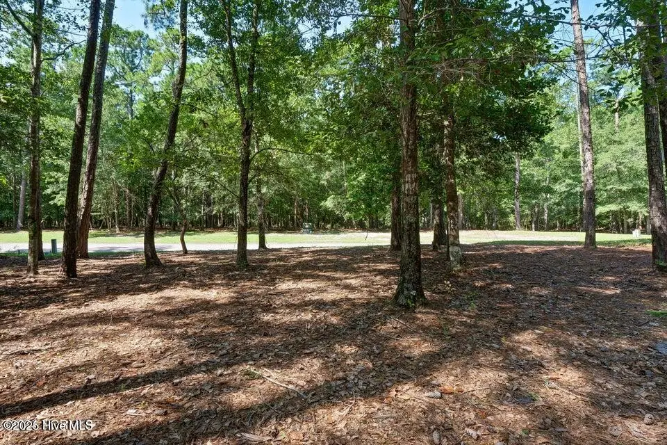 2161 Arnold Palmer Drive, Shallotte, NC 28470 - Image #1