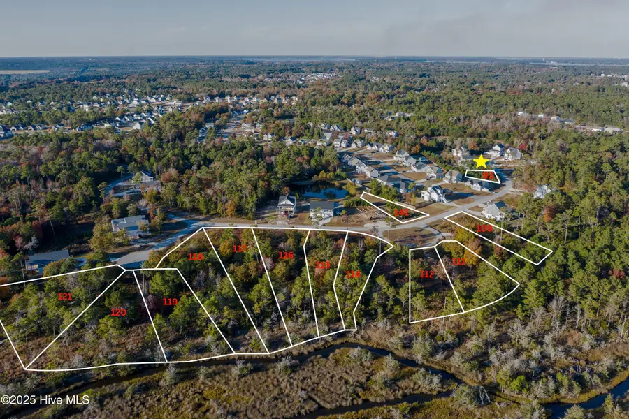 308 Landon Lane, Sneads Ferry, NC 28460 - Image #2