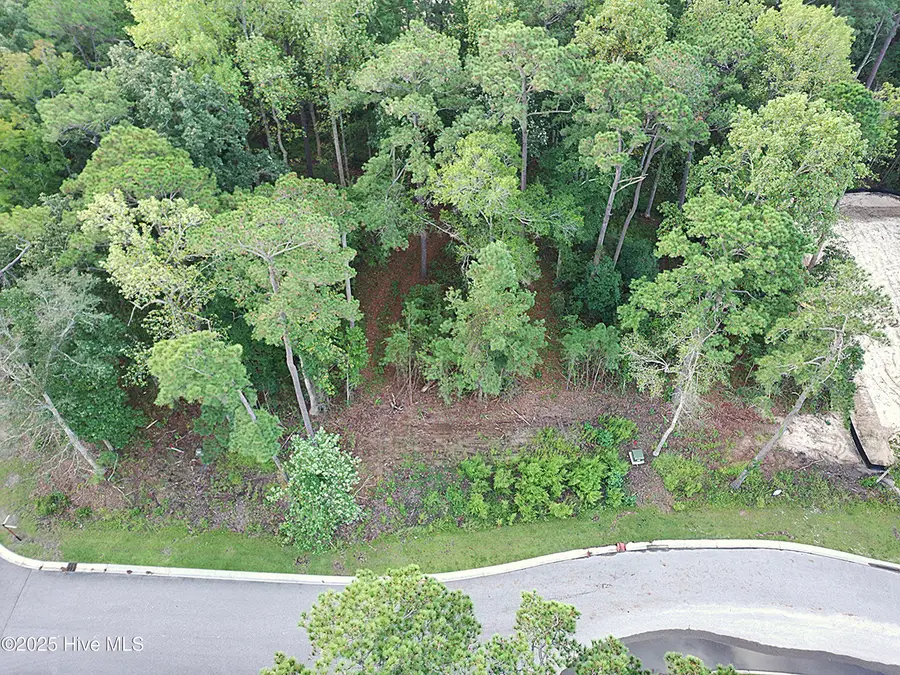 6075 Ocean Isle Palms Way Sw, Shallotte, NC 28470 - Image #3