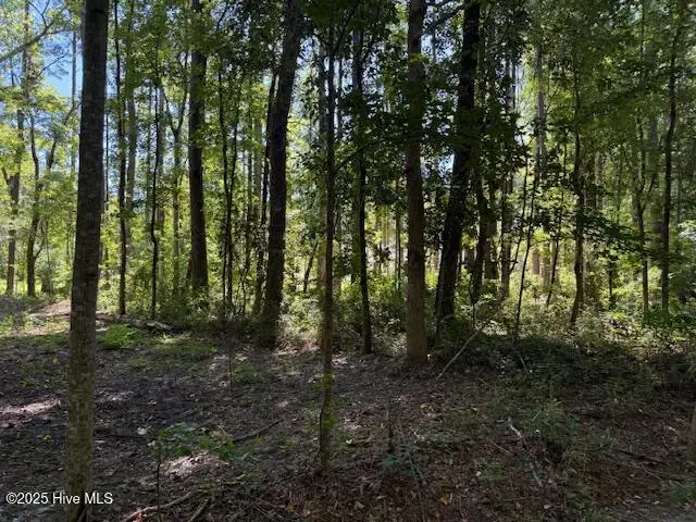 #3