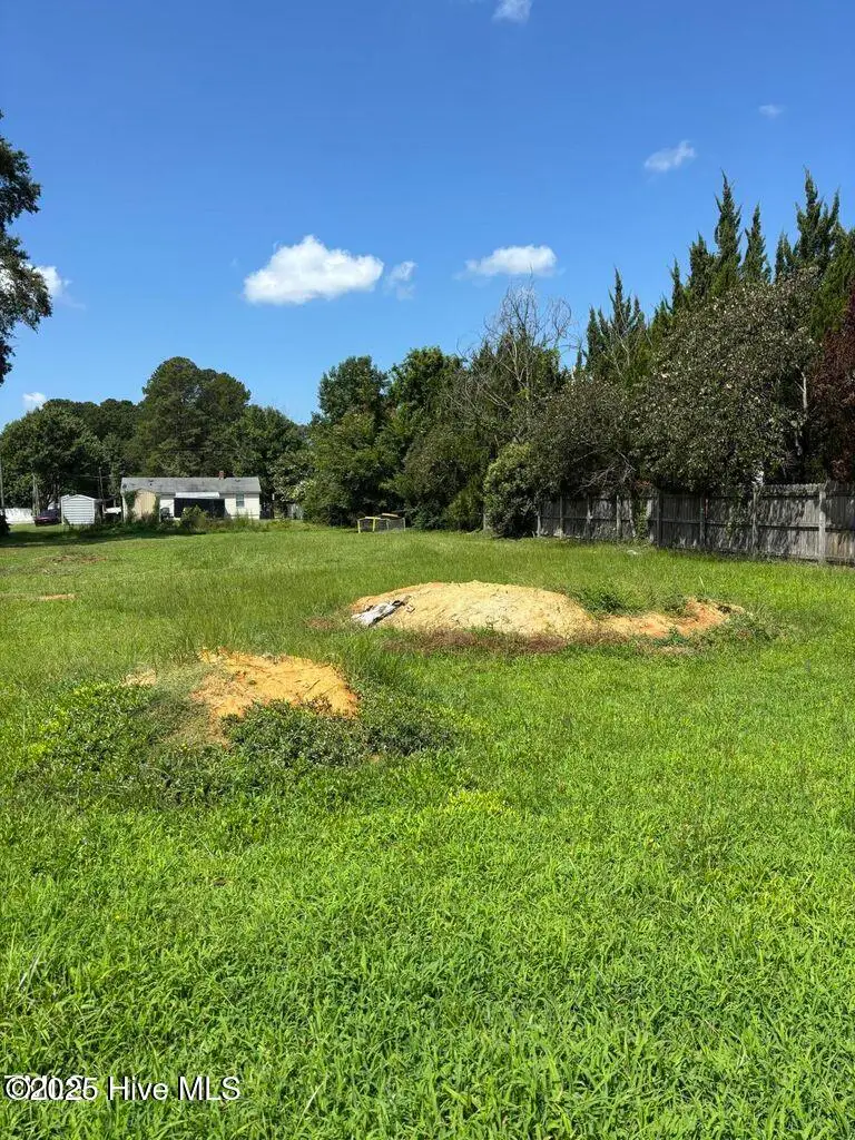 14 E Peedin Road, Smithfield, NC 27577 - Image #3