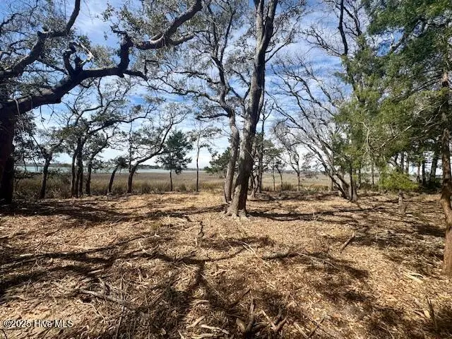 3 Windy Point Road Sw, Supply, NC 28462 - Image #2