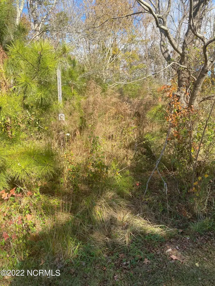 1204 Carr Lane, Robersonville, NC 27871 - Image #2