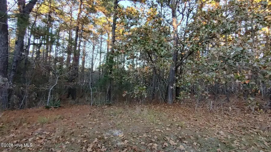 #3