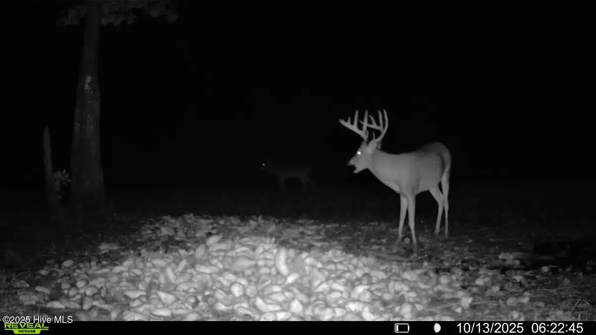 0 Atkinson Cemetery Road, Atkinson, NC 28421 - Image #1