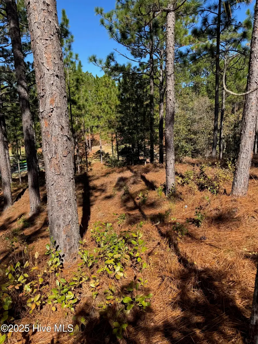 106 Parker Court, West End, NC 27376 - Image #2