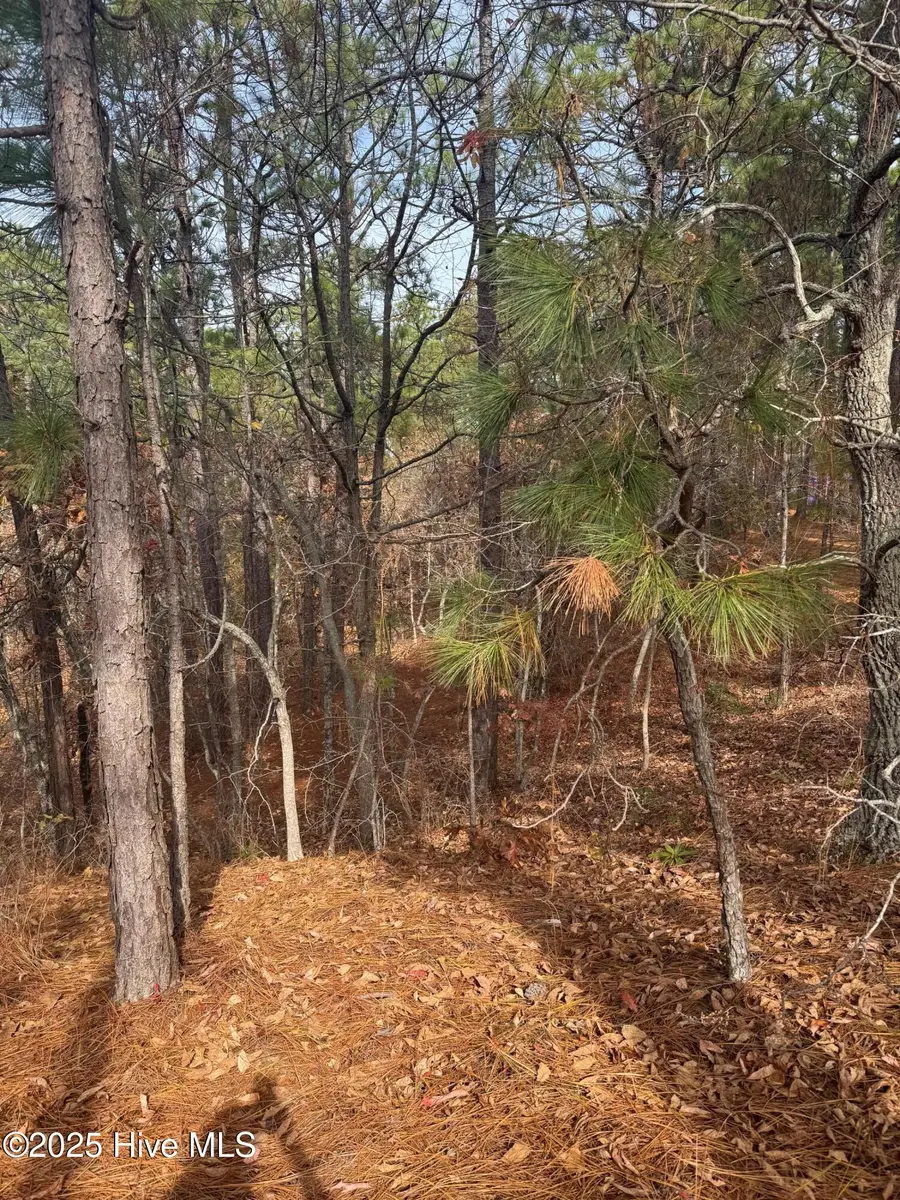 106 Parker Court, West End, NC 27376 - Image #3