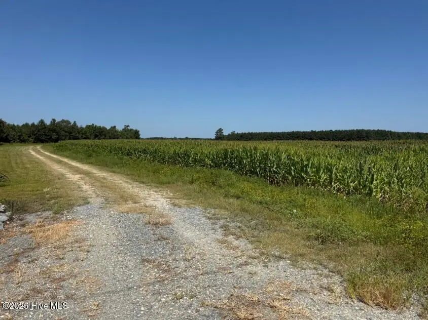 0 Main Street, Newton Grove, NC 28366 - Image #2