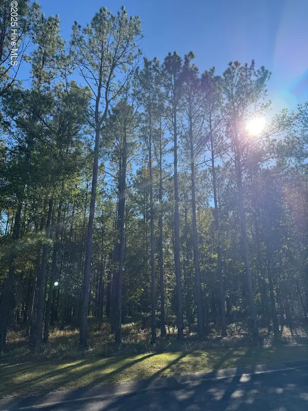 606 Bendigo Passage Se, Bolivia, NC 28422