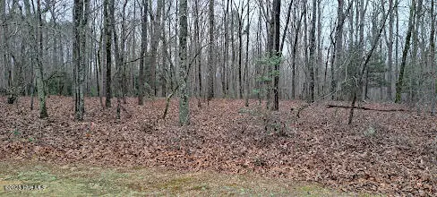 16b Winners Cir Lane, Carthage, NC 28327 - Image #3