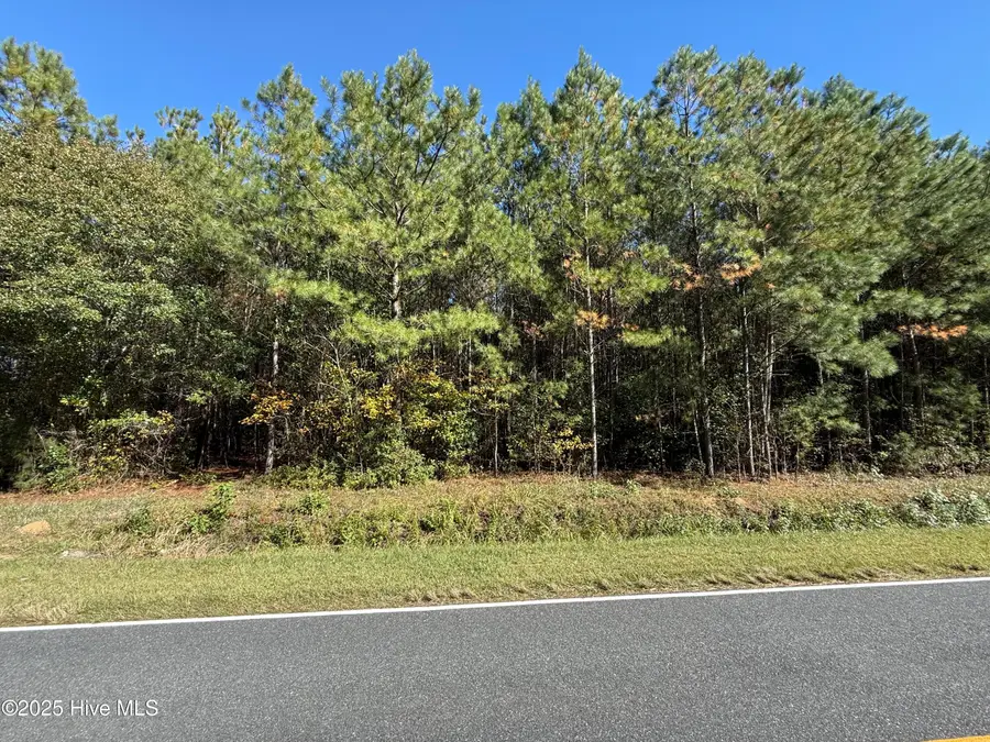 1.78 Acres Harrelson Road, Clarkton, NC 28433 - Image #3