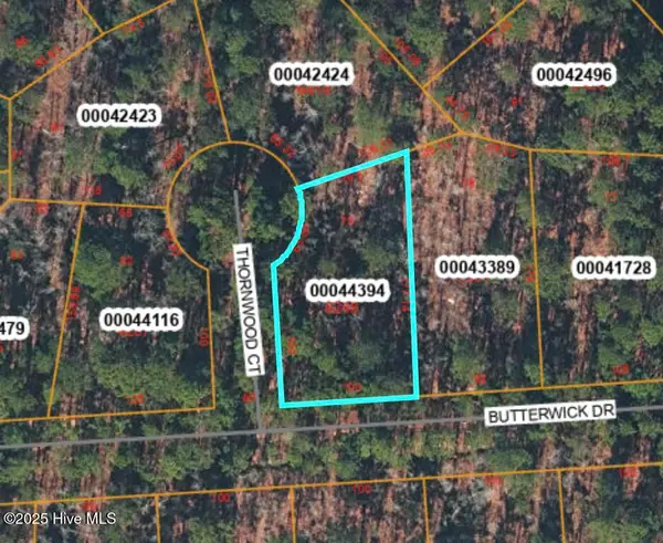 Tbd Thornwood Court, Vass, NC 28394