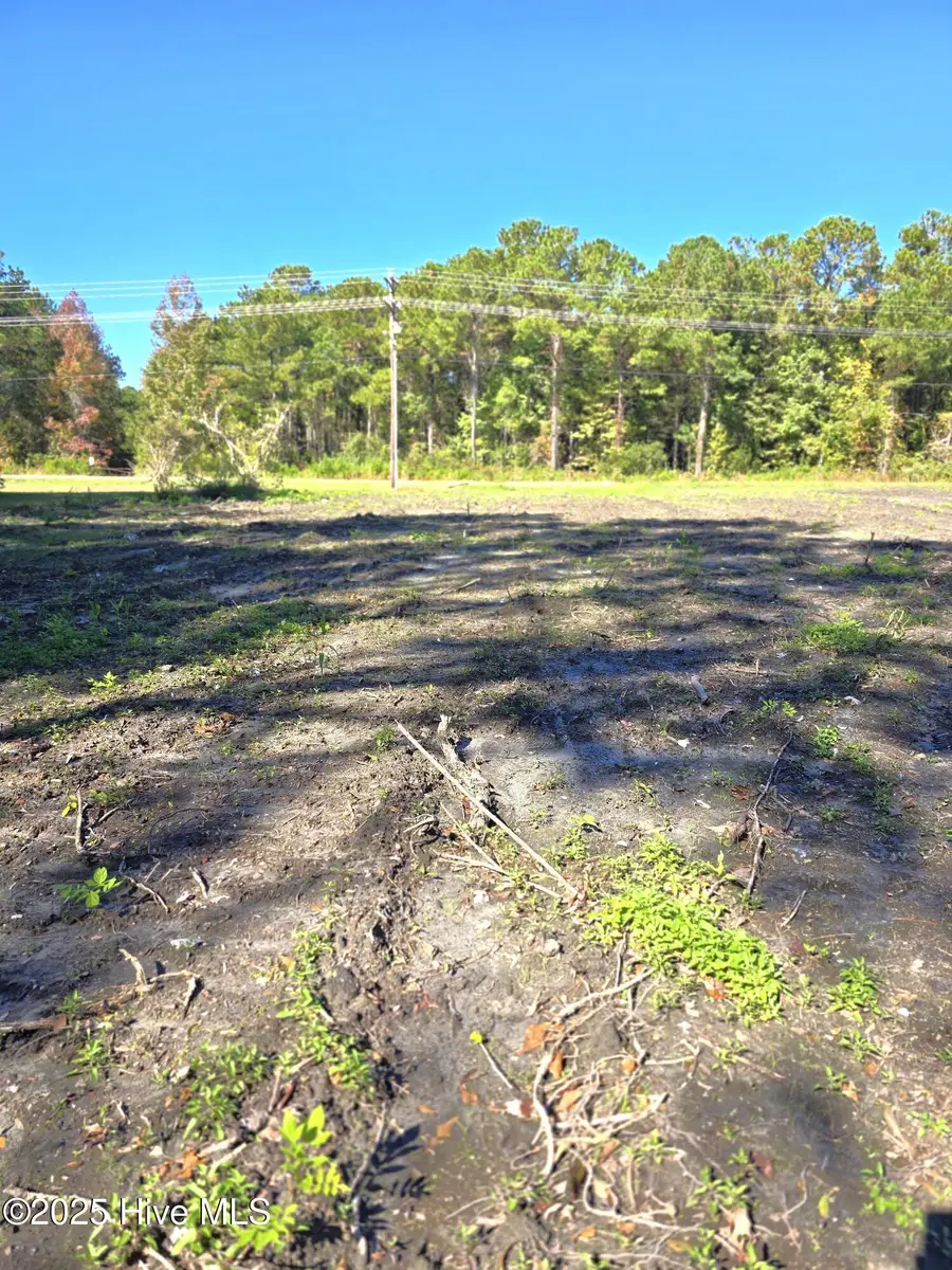 1388 Old Folkstone Road, Sneads Ferry, NC 28460 - Image #3