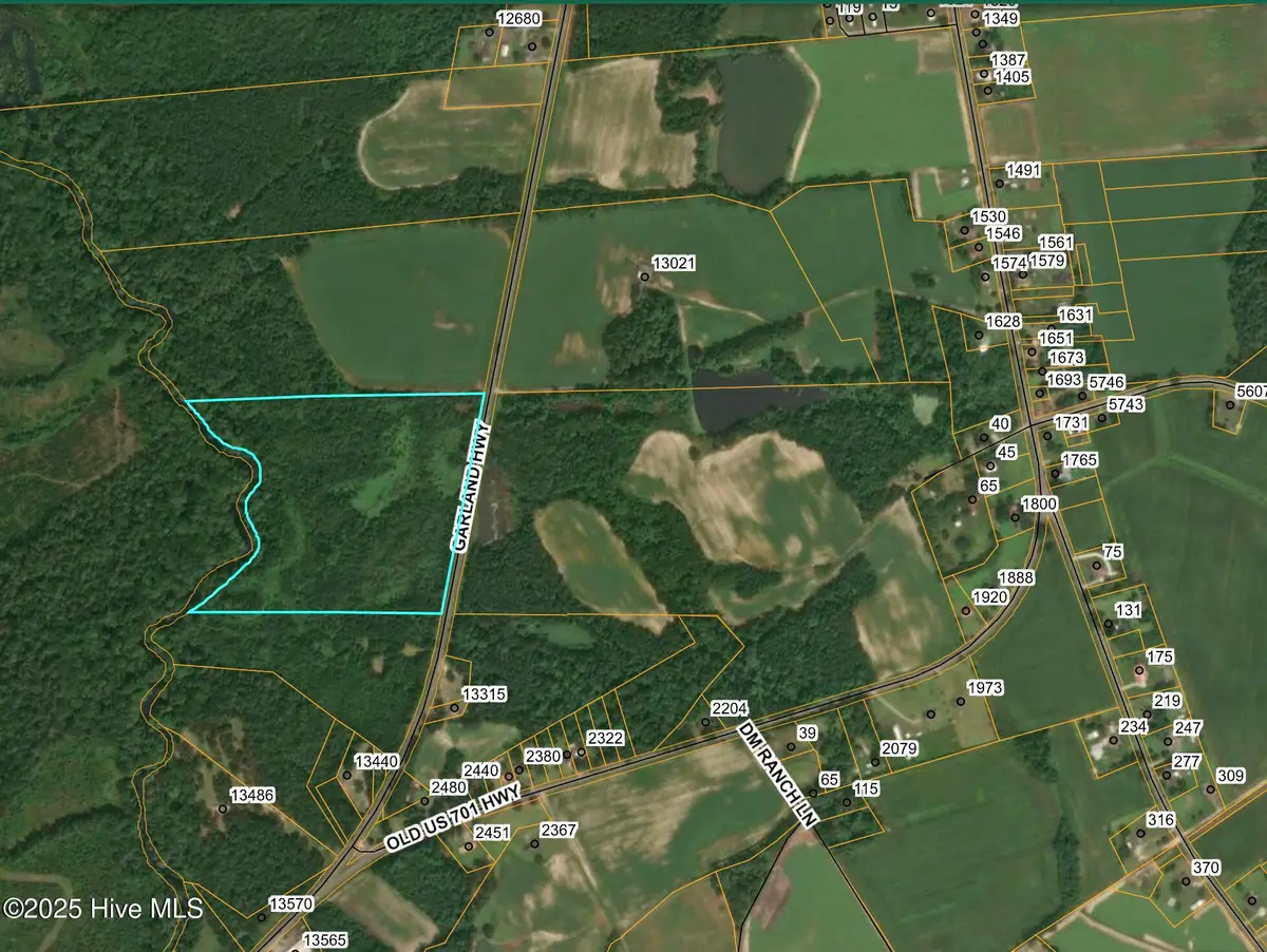 0 Garland Highway, Ingold, NC 28441 - #1