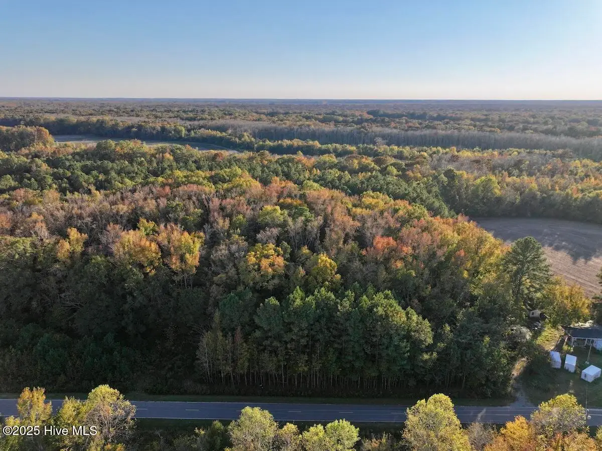 247 Quitsna Road, Windsor, NC 27983 - Image #1