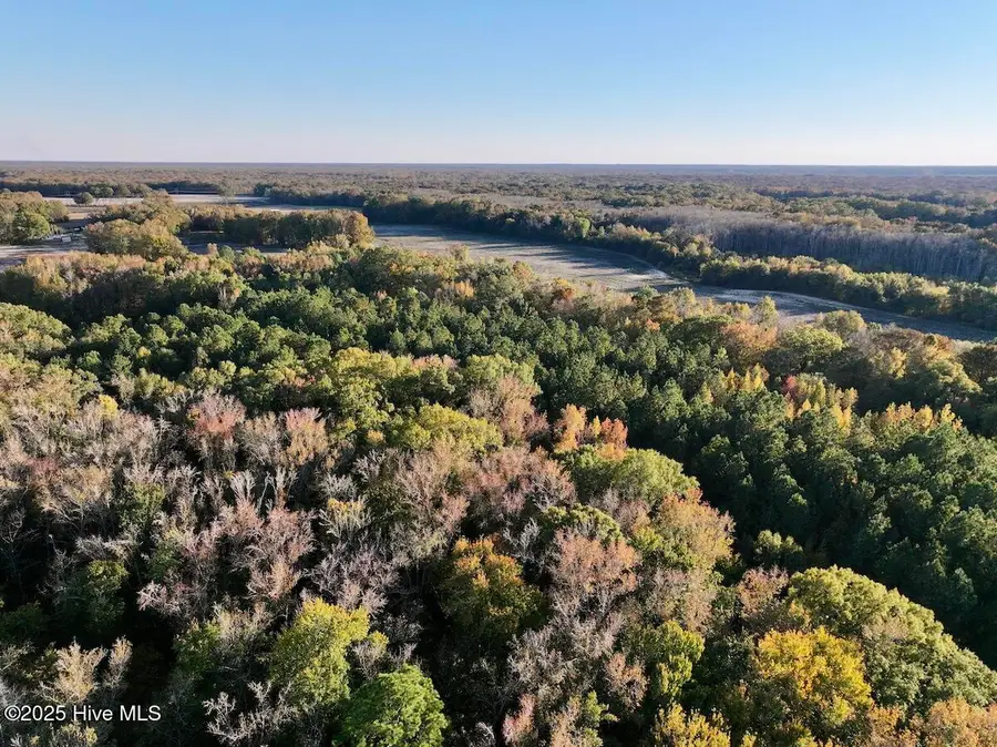 247 Quitsna Road, Windsor, NC 27983 - Image #2